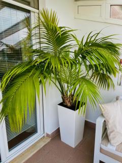 Vila Školka studio - Portorož - 3