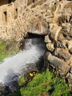Las Tejeruelas Casa Rural - 3