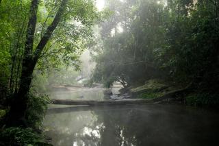 Amanvana Spa Resort, Coorg - Kushālnagar - 5