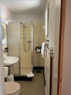 Hotel Ochsen - St. Margrethen - 4