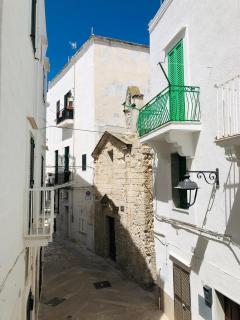 Stella blu - Monopoli - 2
