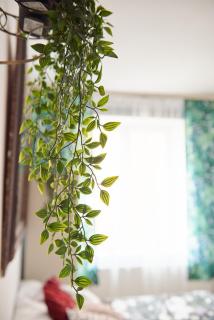 Your trip apartment (2) - Cracovia - 2