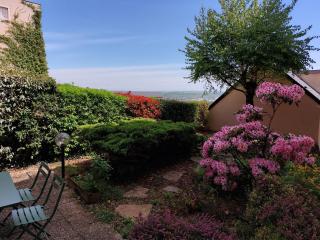 Le DenysPuech 55m2 plein centre avec jardin! - Rodez - 4