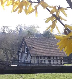 Gite A la petite Bretonnière - Saint-Pierre-des-ifs - 4