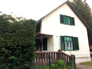Mackó nyaraló - Balatonfenyves - 9