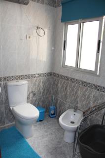 Studio Tropical - Cúllar-Vega - 9