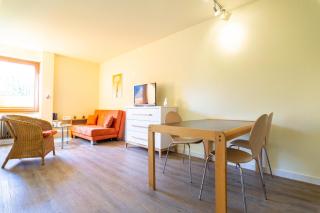 Ferienwohnpark Immenstaad am Bodensee Ein-Zimmer-Apartment 53 03 - Immenstaad am Bodensee - 8