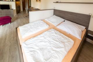 Ferienwohnpark Immenstaad am Bodensee Ein-Zimmer-Apartment 53 10 - Immenstaad am Bodensee - 7