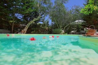 Lili Luxury Cottage - Gaios (Passo) - 6