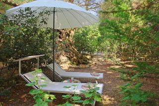 Prasini Luxury Cottage - Oziás - 3