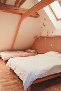 Apartma Sonček, on the ski slopes, balcony, private parking - Kranjska Gora - 2