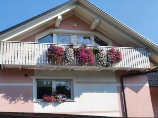 Apartma DAVID - Zgornje Gorje - 1