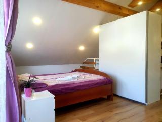 Apartma DAVID - Zgornje Gorje - 4