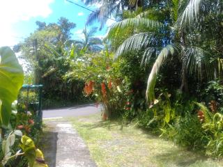 case creole - Saint-Joseph - 6
