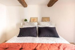 Le marronnier 3: Superbe appart au coeur de la petite venise - 1