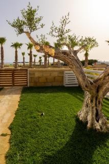 Lo Scorcio Sullo Stagnone - 9