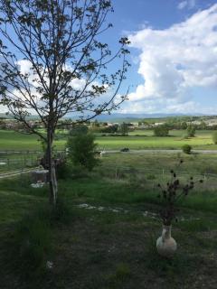 Le petit chalus - Forcalquier - 1