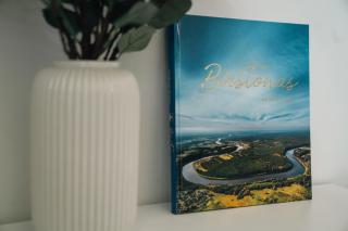 Grey Green Studio Apartment - 6