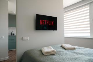 Grey Green Studio Apartment - 4