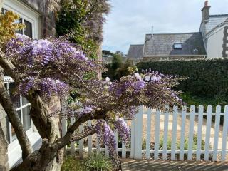 Country cottage with private garden close to beach - St Mary - 9