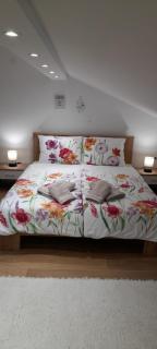 Apartman Mili - Pula - 1