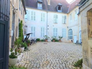A la Grosse Armée - Dans hôtel particulier, hypercentre avec garage, au calme - Bourges - 3