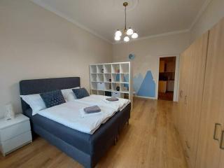 Alföldi Palace Apartman - Debrecen - 3