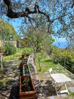 La casa di Elda - Sanremo - 3