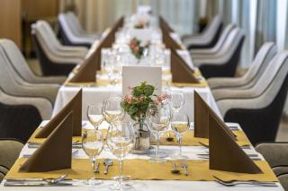 Willis Hotel Business & Wellness - Zalaegerszeg - 6