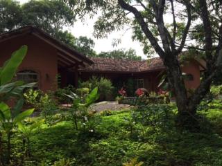 4 Architectural homes, Pool and High-Speed Internet - Lagunillas - 9