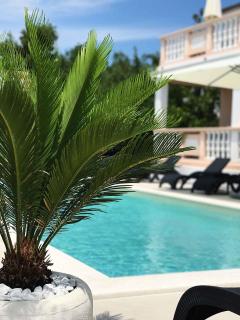 Apartments in Biograd na Moru - Biograd Riviera 42685 - Biograd na Moru - 1