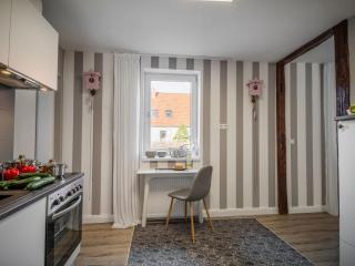 Apartment in Harz with Terrace and Fireplace - Stapelburg - 1