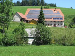 Holiday home with terrace in the Black Forest - Brigach - 4
