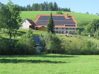 Holiday home with terrace in the Black Forest - Brigach - 2