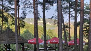 Willa Wellness - Janowiec - 2