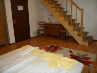 Pensiunea Buon Gusto Sibiu-motorcyle friendly,city center - Sibiu - 4