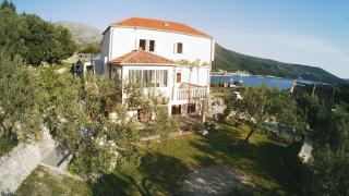 Apartments Baldo - Slano - 1