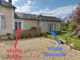 studio " tournesol " au coeur du Berry - Les Bordes - 2