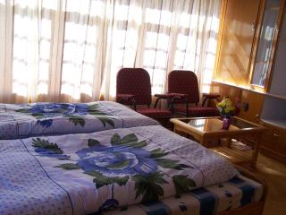 Serdung Guest House - Leh - 8
