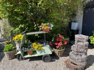 Casa Realba - Brissago - 1