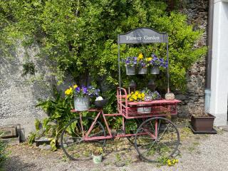 Casa Realba - Brissago - 3