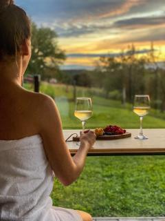 Wellness hiška Robida - Ljutomer - 1