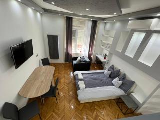 Széchenyi Apartman (III. Panorama) Miskolc belvárosában - Miskolc - 9