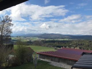 Ferienwohnungen Lusenblick - 4