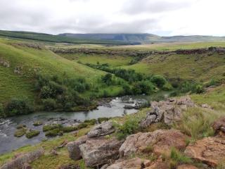 Sheeprun Farmstay - 5