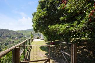 Monolocale Fattorialmare Gialla - 1