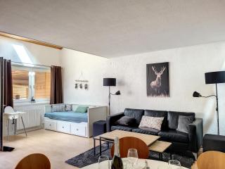 APPARTEMENT DUPLEX SPACIEUX -SAINT JEAN D'AULPS STATION-PROCHE MORZINE - 6-8 pers-RELAIS D7 - Saint-Jean-dʼAulps - 9