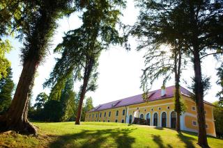 Mokrice Castle Estate - Čatež ob Savi - 1