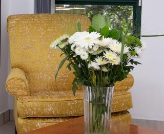 Cussonia Country Home - 8