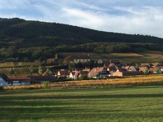 Les papillons - Dieffenthal - 0